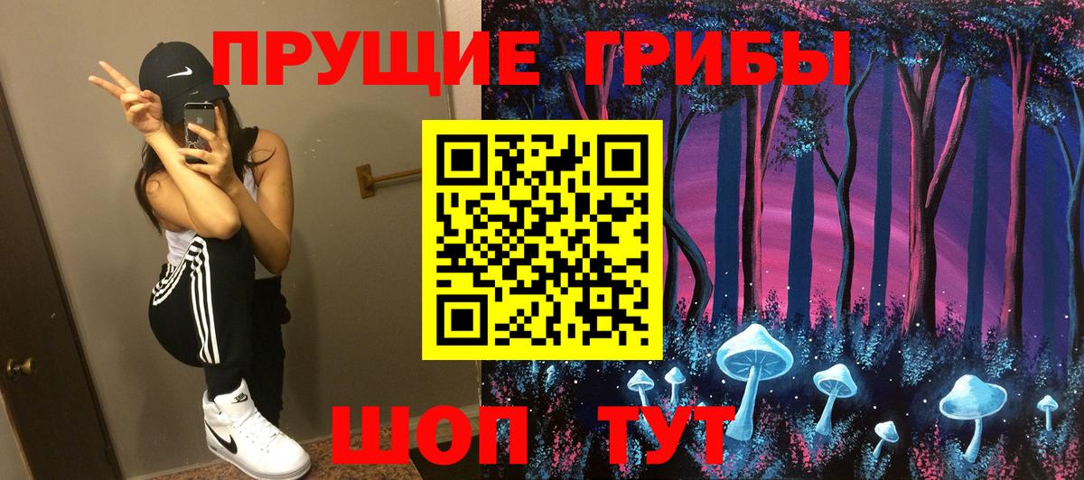 Галлюциногенные грибы Psilocybe Комсомольск-на-Амуре