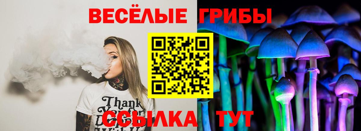 Псилоцибиновые грибы мицелий  Галлюциногенные грибы Psilocybine cubensis  Комсомольск-на-Амуре  Вход с VPN 